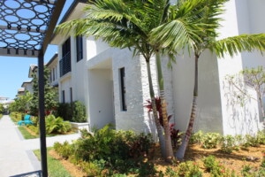 Glacier White Natural Ledgestone