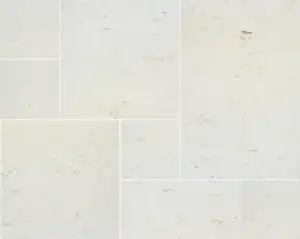 Tumbled Shell Reef Limestone Pavers
