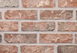 Charleston Face Brick