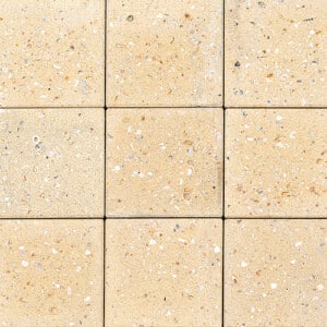 Shellstone Sandstone (White Solid)