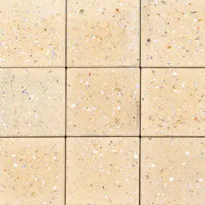 Shellstone Sandstone (White Solid)