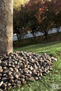 Black Polished Beach Pebbles