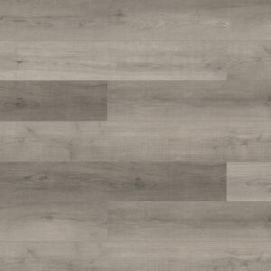 XPR Studio Ambient Tan 2