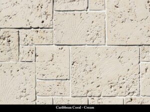 Caribbean Coral - Cream