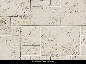 Caribbean Coral - Cream