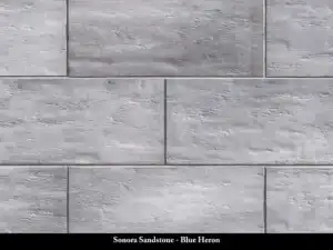 Sonora Sandstone - Blue Heron