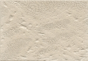 Corallock - Ivory, Textured
