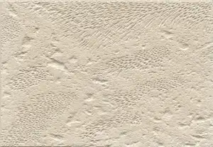 Corallock - Ivory, Textured