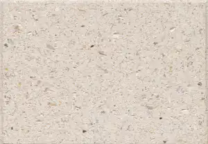 Shellock - Ivory, Polished