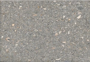 Shellock - Silver Sam, Polished
