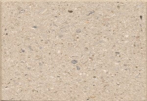 Shellock - Tan, Polished